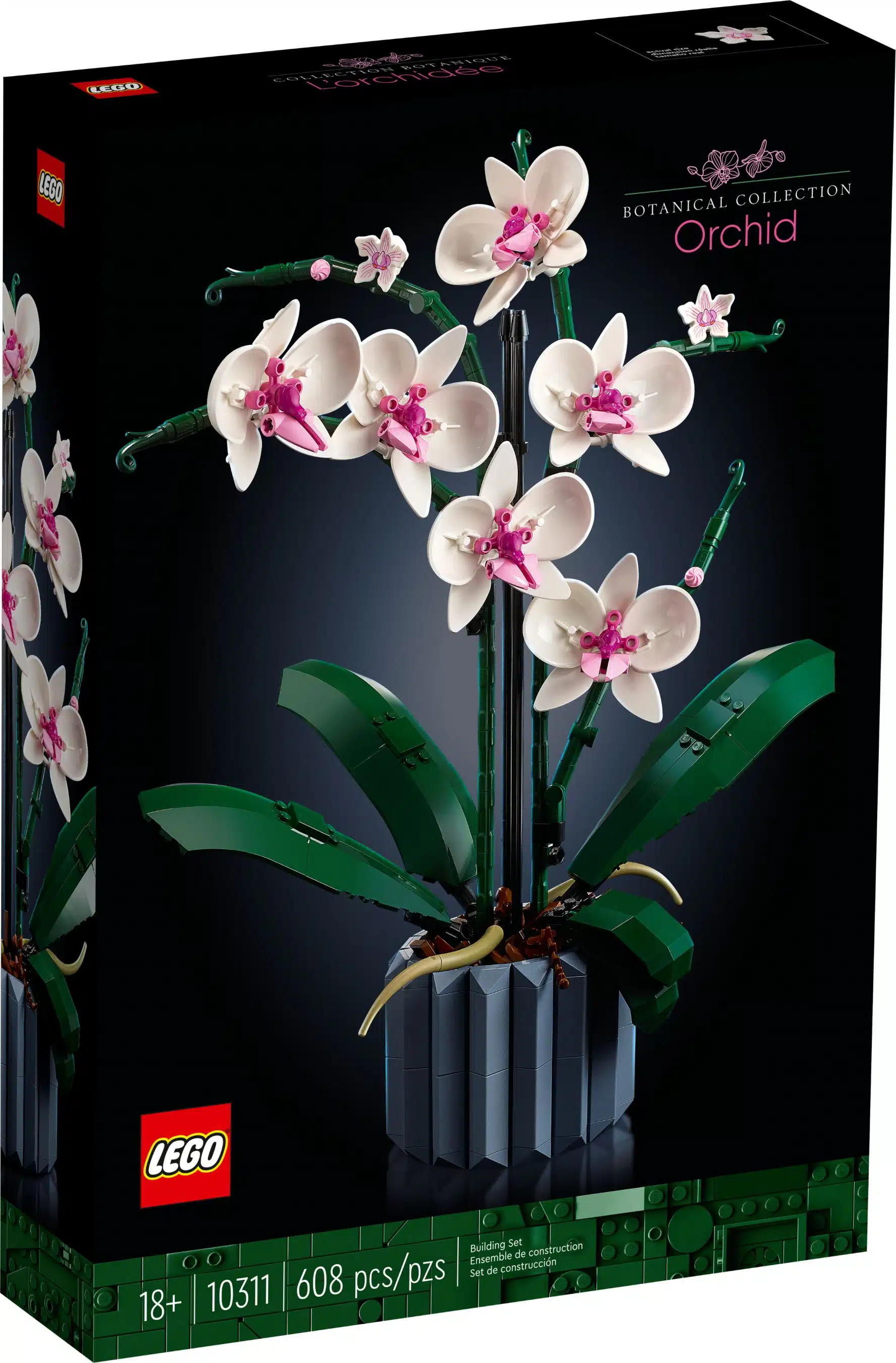 LEGO® Icons (Creator Expert) 10311 Orchidee LEGO® Icons (Creator Expert) 10311 Orchidee